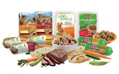 What Do You Feed Your Dog?