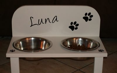 How Often Should You Clean You Pet’s Water Bowl?