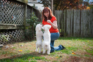 pet sitter seeking feedback from two dogs